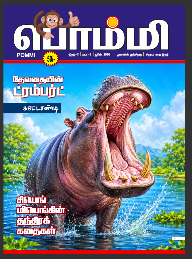 Pommi - June - 2026